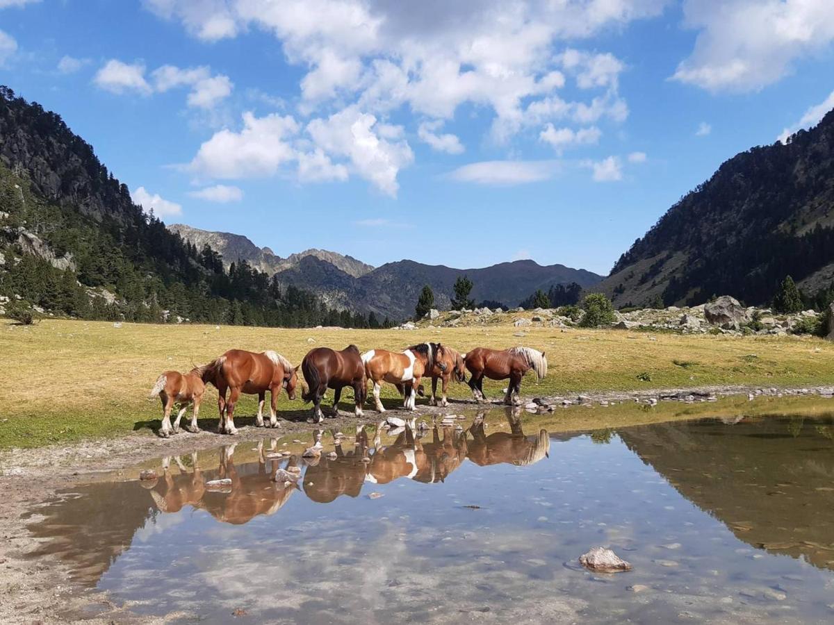 Studio Cosy Avec Balcon, Parking Et Coin Nuit Separe - 4 Couchages A Cauterets - Fr-1-234-249 Exteriör bild